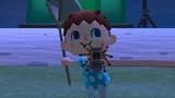 Animal Crossing Tarantulas: How to catch, spawn and get Tarantula Island - or make your own