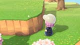 Animal Crossing - klif, wzniesienie, góra: Cliff Permit w New Horizons