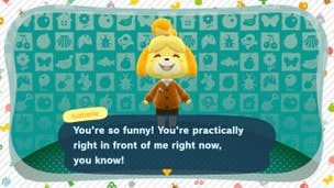 Animal Crossing New Horizons amiibo: how to unlock and use amiibo and what they do