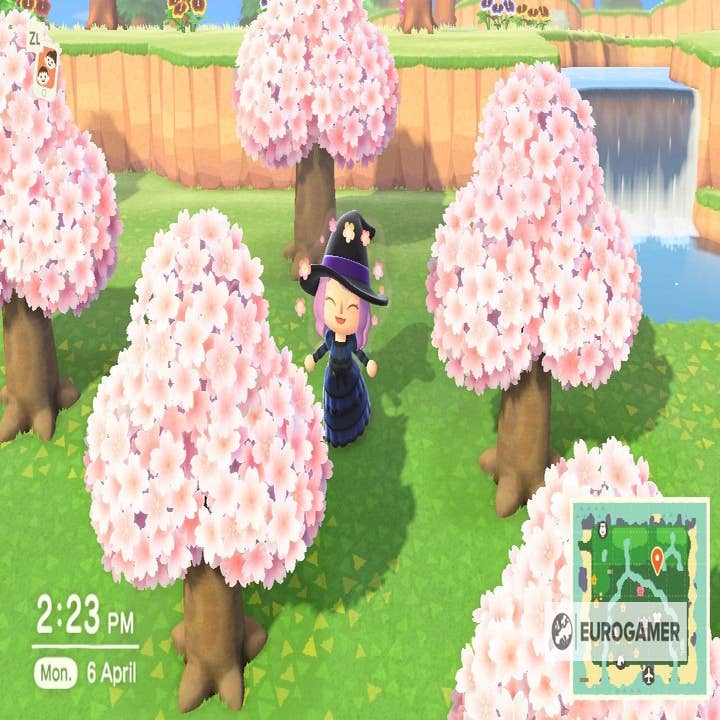 Animal Crossing Cherry blossoms: How to find cherry blossom furniture  recipes and catch cherry-blossom petals explained