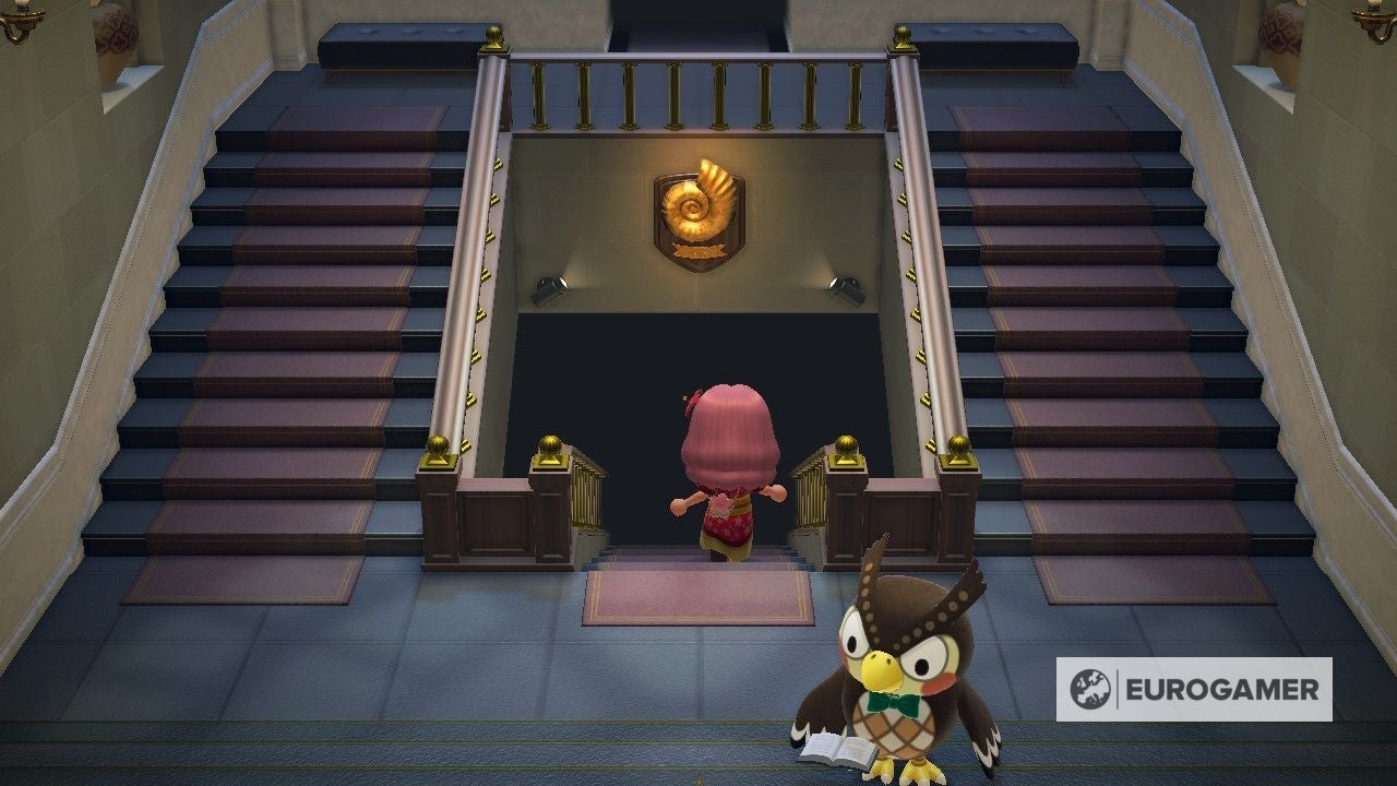 Animal Crossing fossil list how many fossils, how to find fossils and