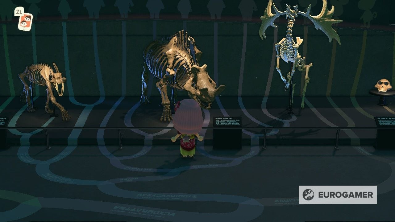 Animal Crossing fossil list how many fossils, how to find fossils and