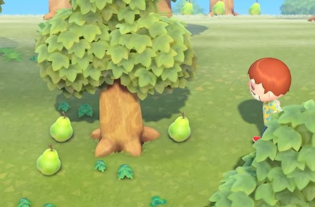 Animal Crossing fruit Grow back time eating benefits and how to