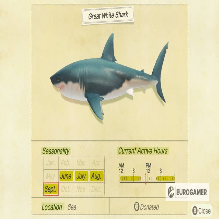 Shark Games Week - 100%ing Shark! Hunting the Great White 