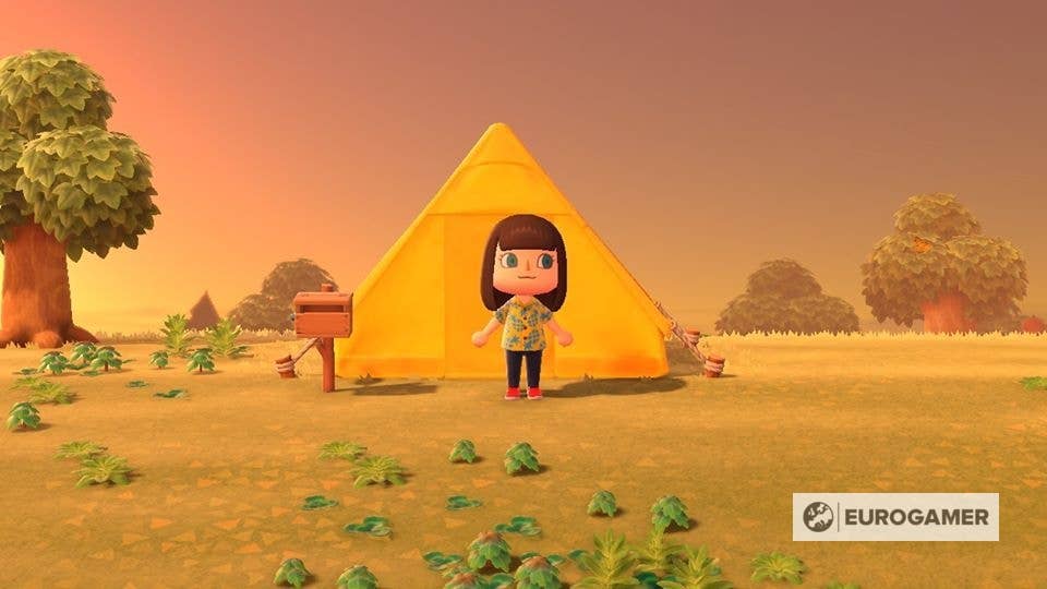 Animal Crossing Inventory and Storage upgrades: How to expand and manage  your inventory explained | Eurogamer.net