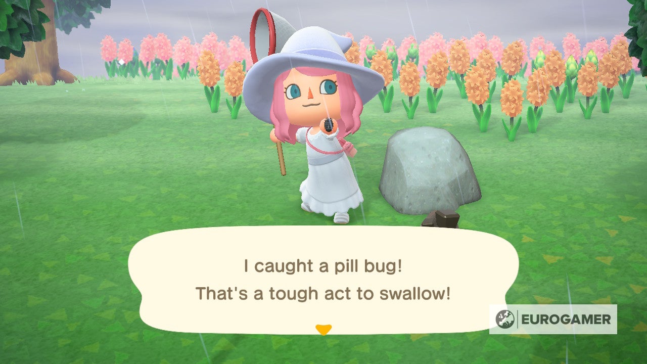 New Fish and Bugs in June Everything arriving and leaving this month