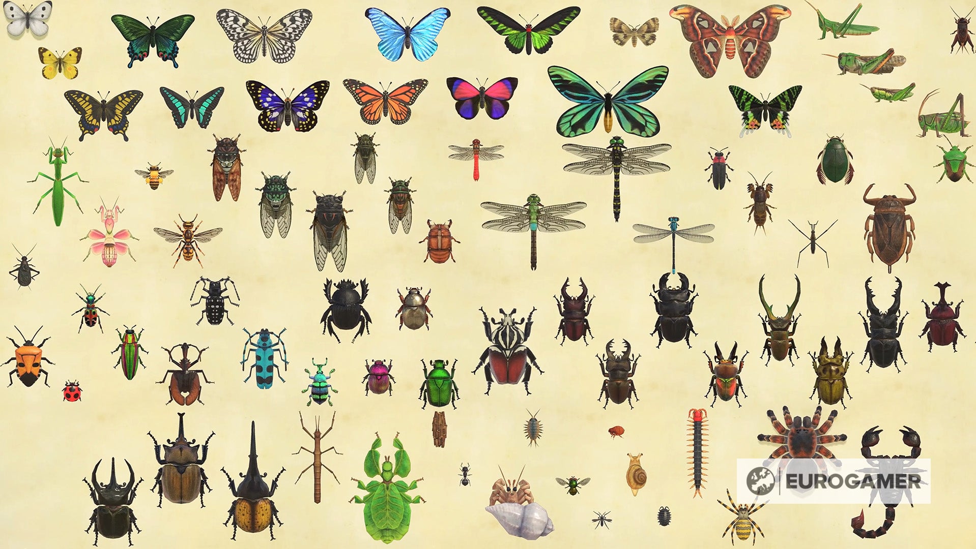 Animal Crossing New Horizons Alle Insekten und welche es im März gibt Eurogamer.de