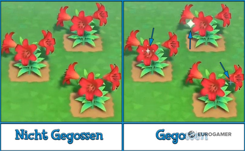 Animal Crossing New Horizons Blumen Kreuzen www.eurogamer.de