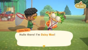 Animal Crossing New Horizons best Turnip prices: how to sell turnips to play the stock market