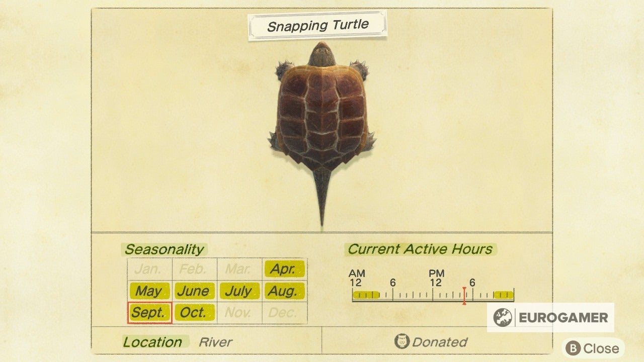 Animal Crossing Turtles How to catch a Softshelled Turtle and Snapping Turtle in New Horizons