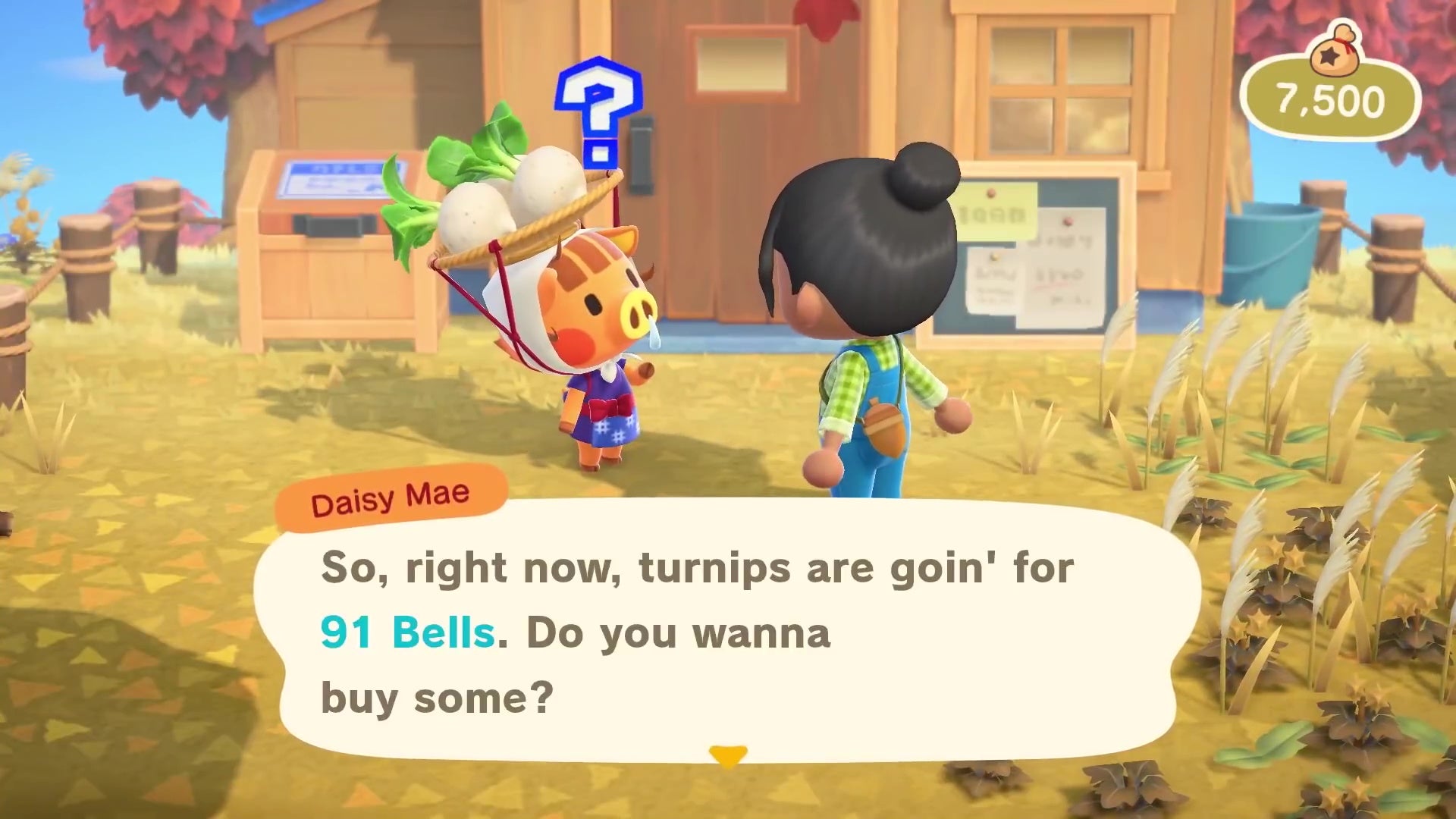 Animal Crossing Turnips How to get a good Turnip price in Daisy Mae&#039;s