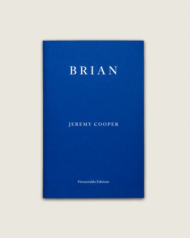 Blue cover of a novel titled Brian