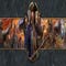 Age of Empires 3: Definitive Edition artwork