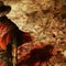 Call of Juarez: Gunslinger artwork