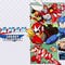 Mega Man Legacy Collection artwork