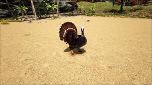 Image for Ark: Survival Evolved Turkey Trial 3 - Where to find Wishbones