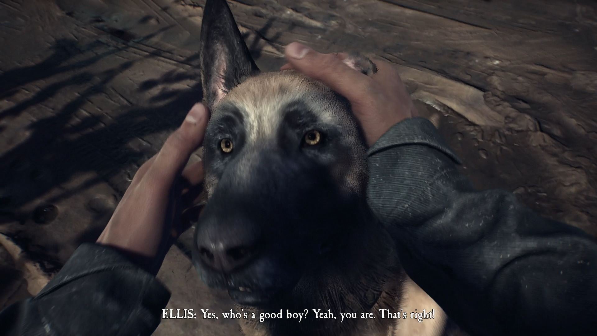 Image for You can pet the dog and manipulate time with a camcorder in Blair Witch