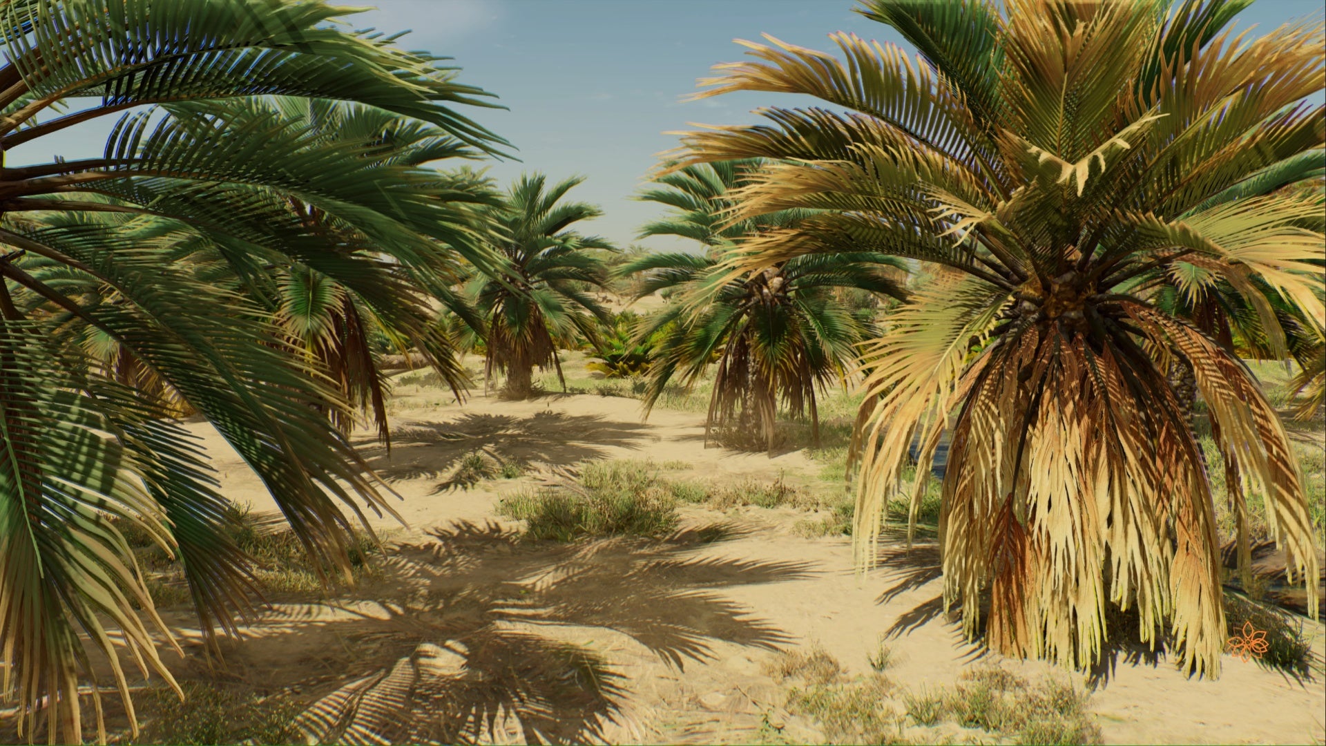 Assassin's Creed Mirage Joy Beneath Weeping Palms Enigma solution - Vimarsana News