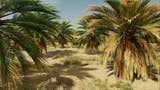 assassins creed mirage palm grove, image is of a large section of Palm Trees.
