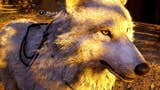 Assassin's Creed Valhalla - changing mounts, ravens and wolf mount explained