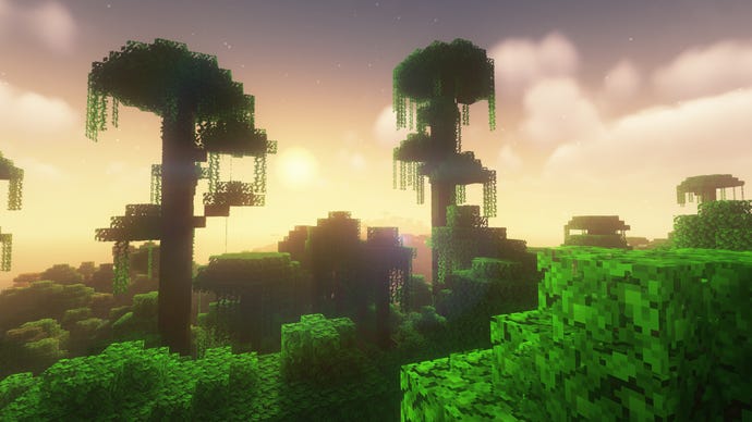 A jungle in Minecraft, with two huge trees poking out of the overgrowth.