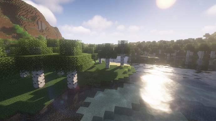 Minecraft मध्ये नदीवर एक बर्च जंगल