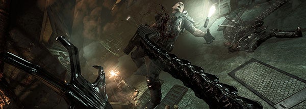 Image for They'll Regret That: AvP Multiplayer Frothing