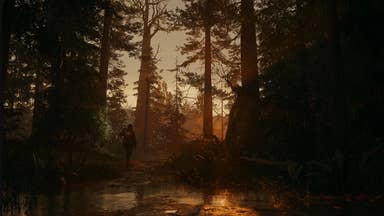 Image for Alan Wake 2 venku 17. října, první trailer a obrázky, ale krabicovka nebude