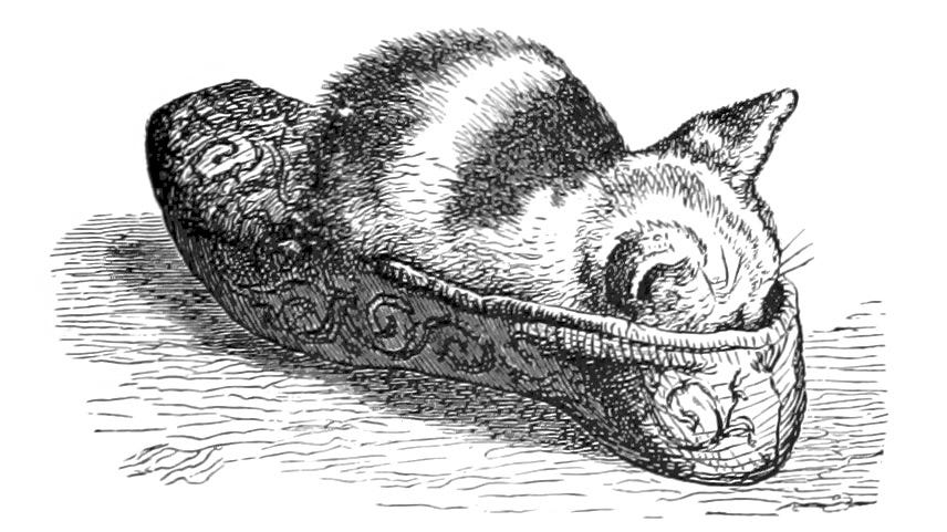 A cat sleeping in a slipper in an illustration from 'When Life is Young: a collection of verse for boys and girls'.
