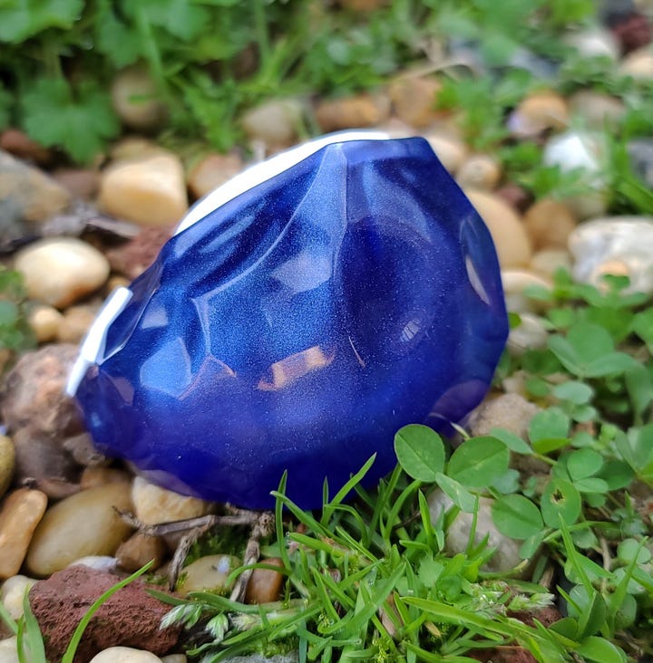 Flux Tide Designs fossils