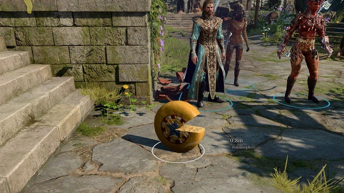 A close up of a wheel of cheese in Baldur's Gate 3, the player character suffering under a polymorph spell
