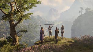 A group of characters in Baldur's Gate 3 stand on a cliff edge overlooking the vast land in front of them.