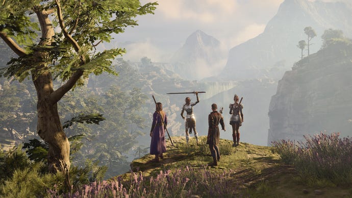 A group of characters in Baldur's Gate 3 stand on a cliff edge overlooking the vast land in front of them.