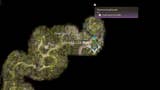 Baldur's Gate 3 - mapa: Górska przełęcz