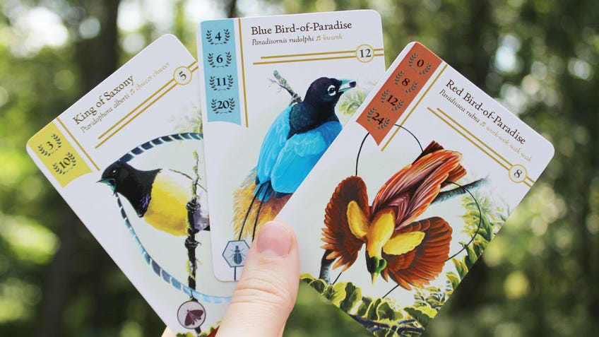 Birdwatcher card fan image