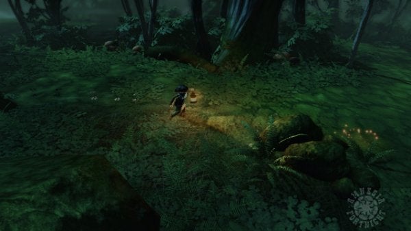 Image for Don't Forget: Amnesia Fortnight Bundle Released