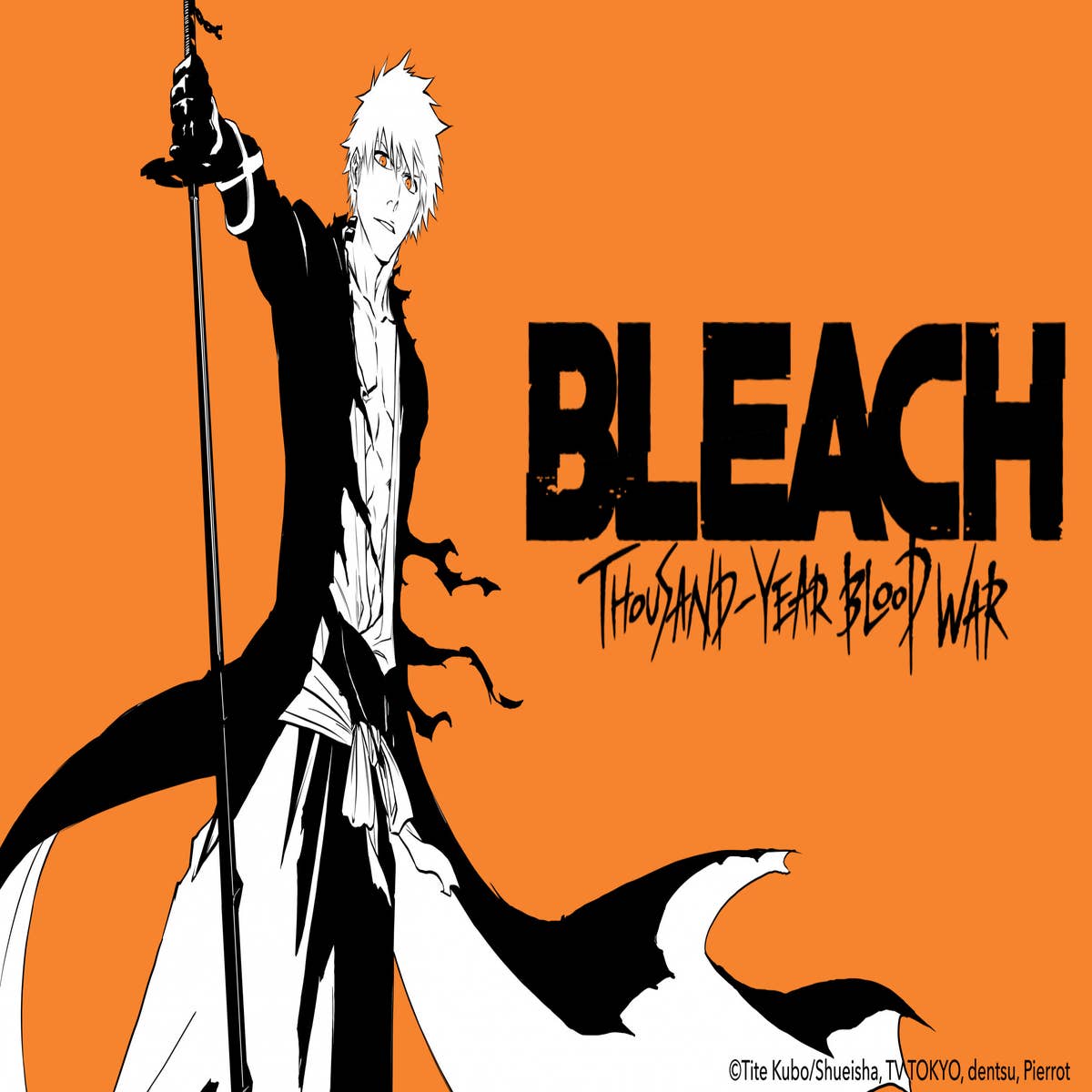 How many seasons does Bleach have? Every season in chronological order