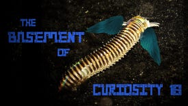 Image for Dwarf Fortress Diary: The Basement Of Curiosity Episode Eighteen - Drubbings In The Deep