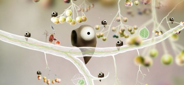 Image for Amanita Reveal All: Jakub Dvorský Interview	