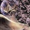 Onimusha: Dawn of Dreams artwork