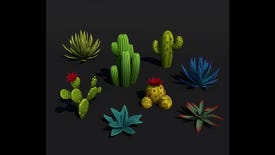Image for Look At These Lovely Desert Succulents