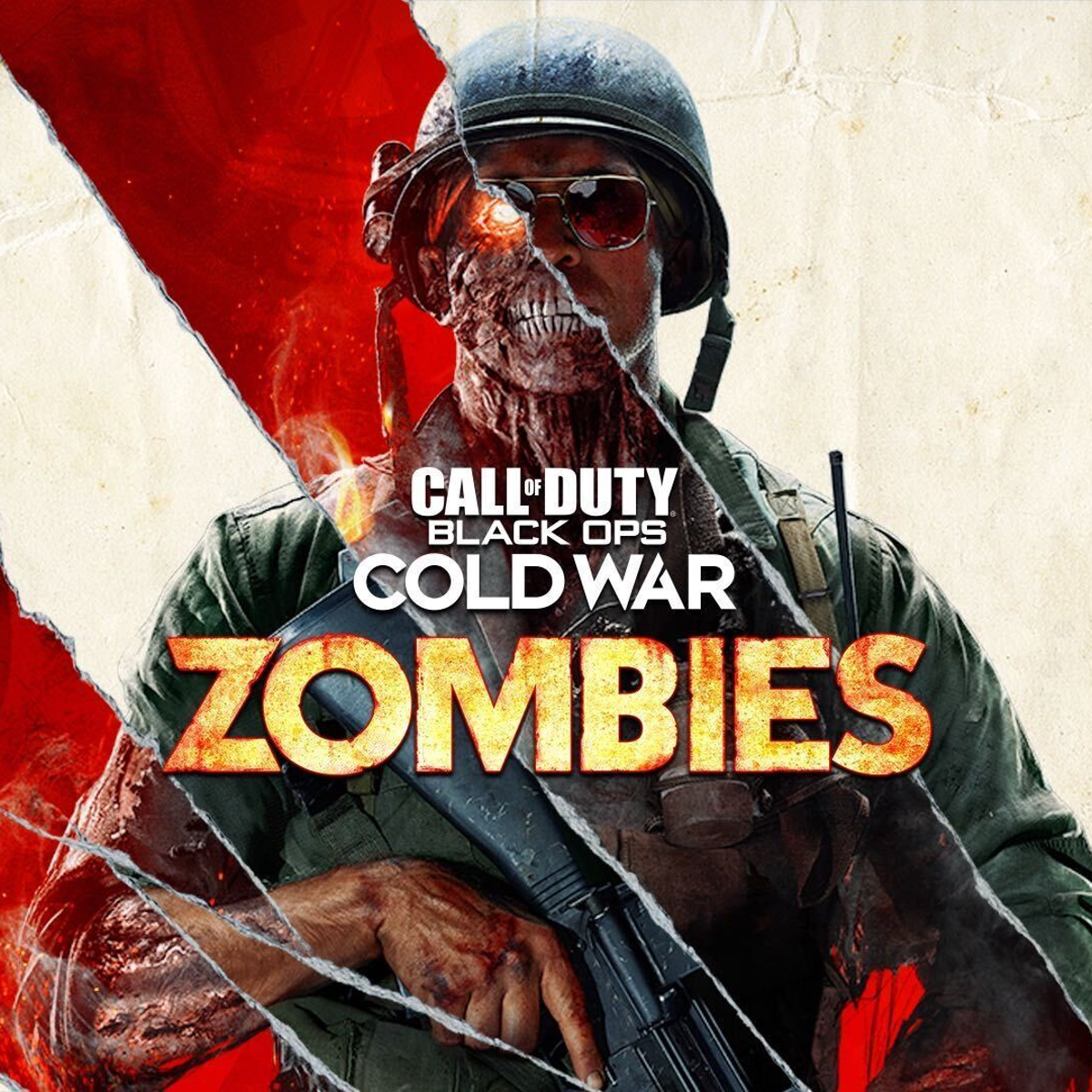 Call Of Duty Zombies Poster