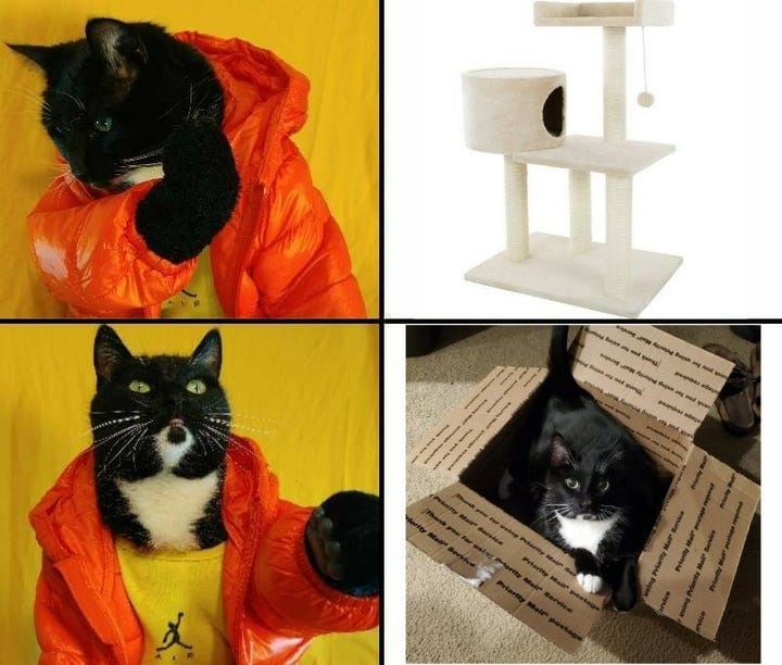 Courtesy Cat Cosplay on Facebook