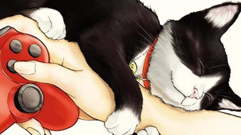Image of hand holding gamer control with cat