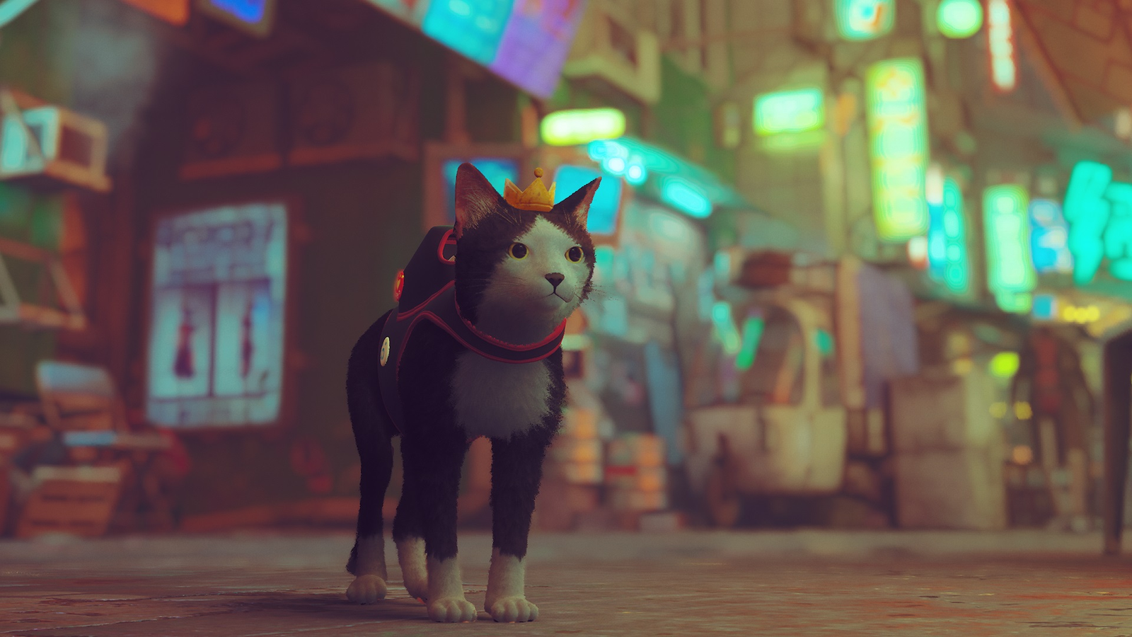 The video game Stray taps into why we fancy being a cat