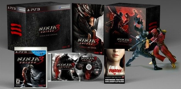 Ninja Gaiden collector's edition detailed