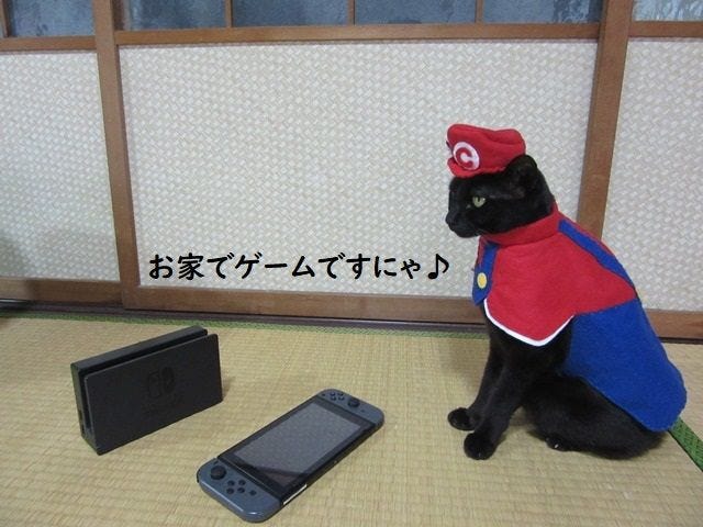 Chocola Cat Cosplay