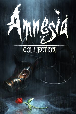 Amnesia: Collection boxart