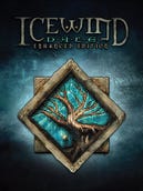Icewind Dale: Enhanced Edition boxart