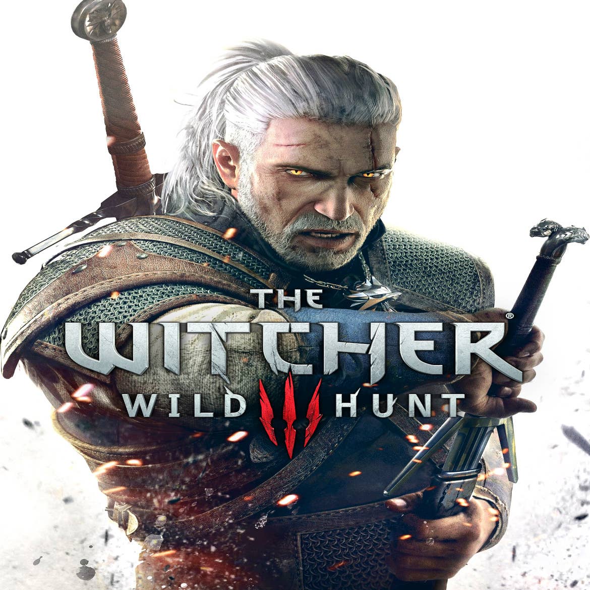 The Witcher Remake Will Be An Open World Game Like Wild Hunt